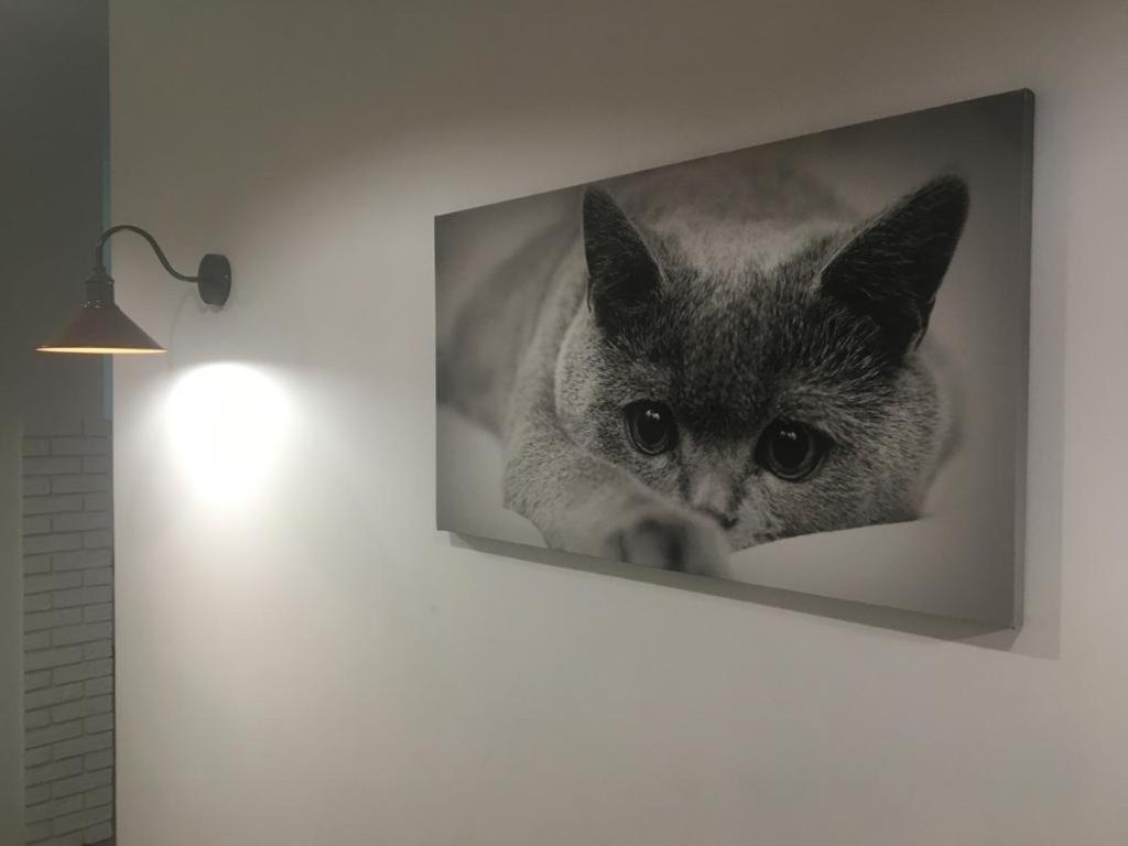 Comfort Place In The City Centre Ivano-Frankivsk Luaran gambar